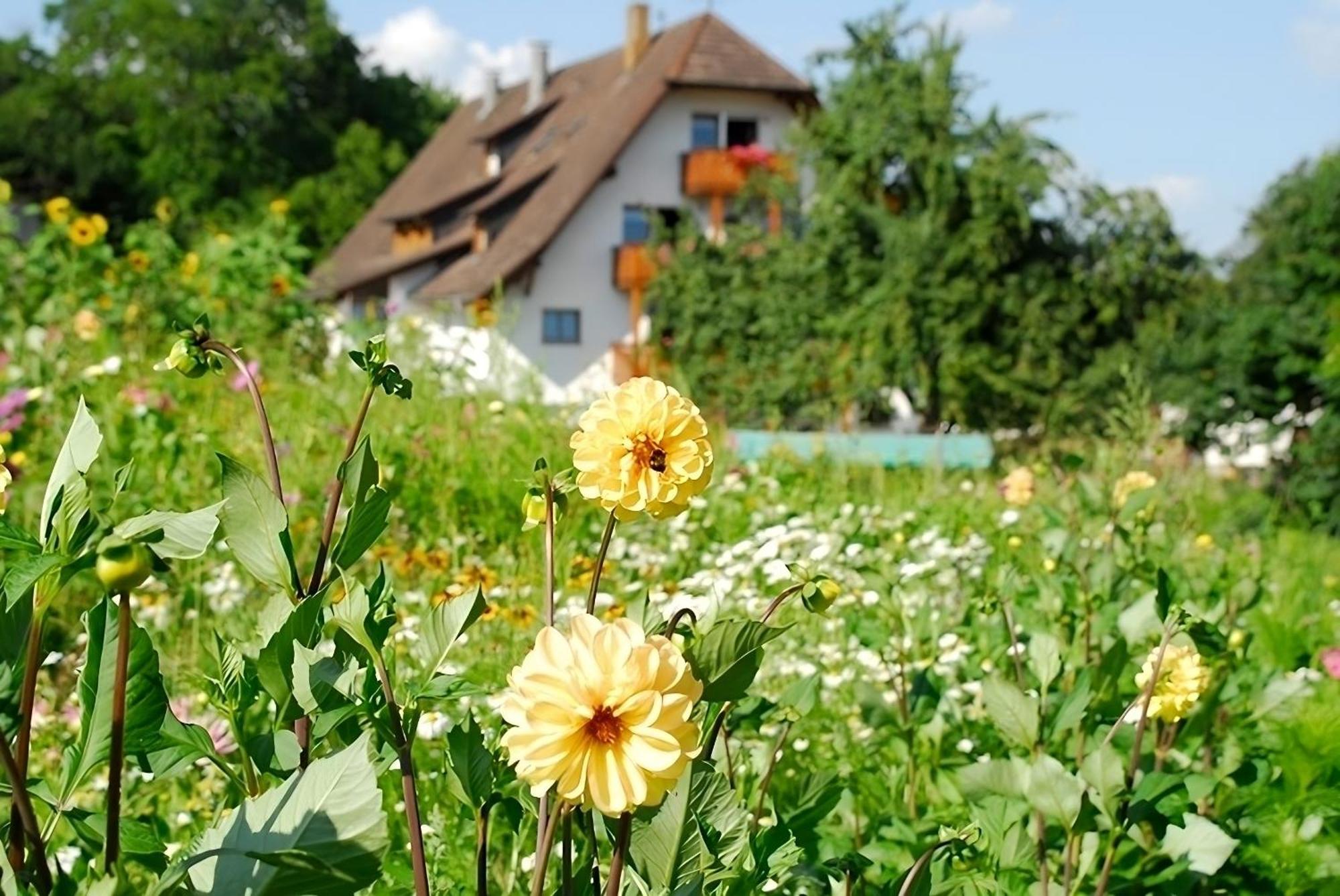 Mayer Burghoefe Owingen Exteriér fotografie