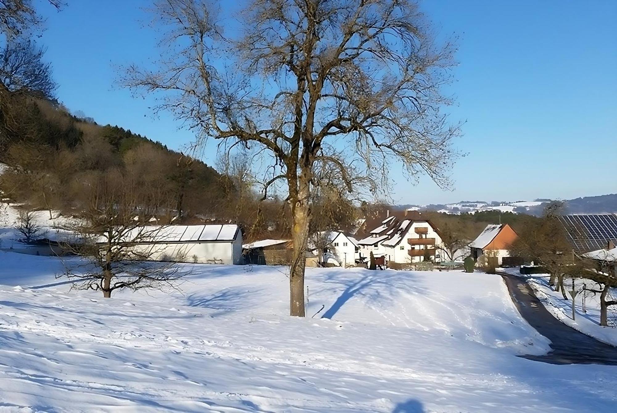 Mayer Burghoefe Owingen Exteriér fotografie